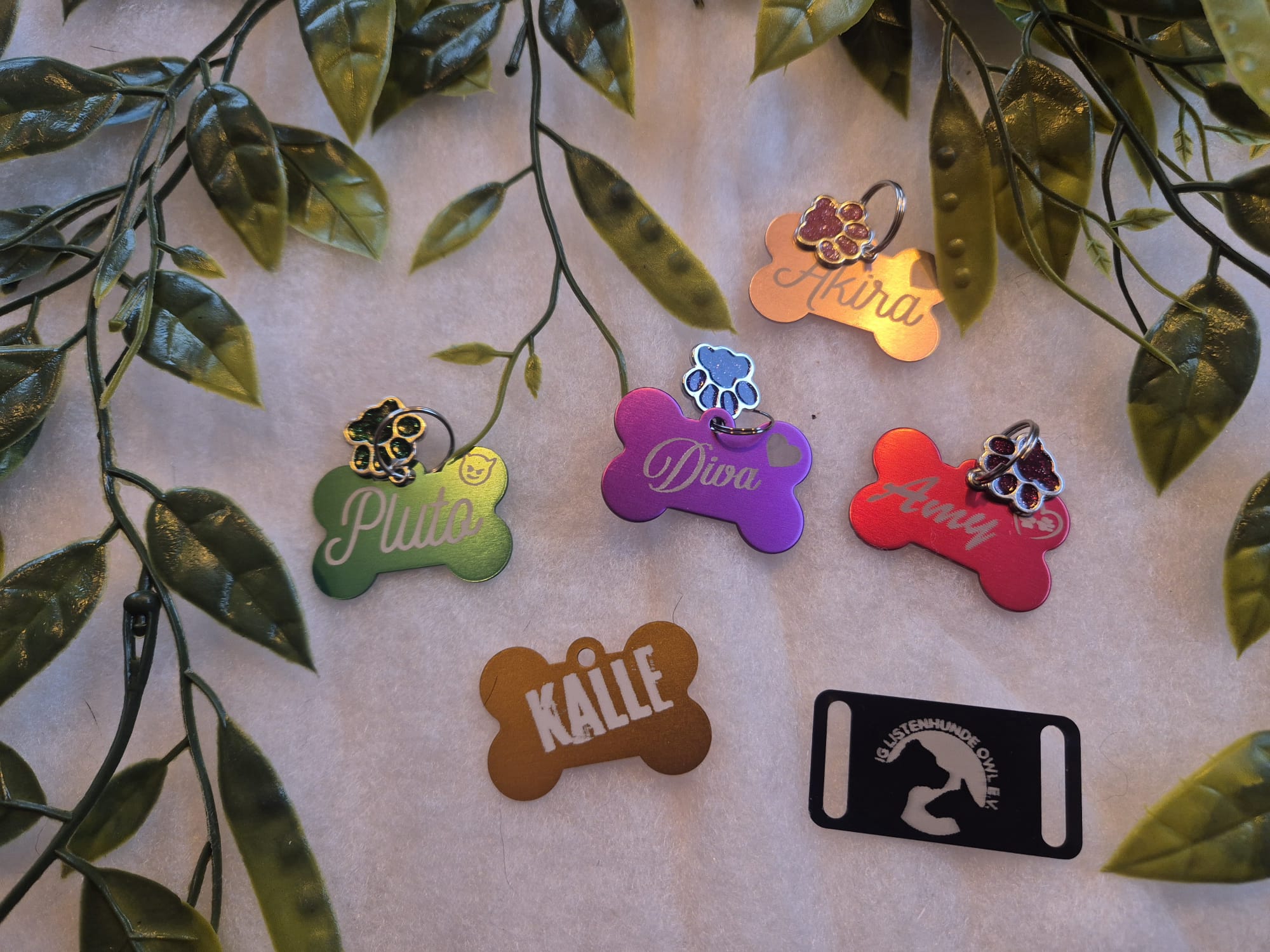 Hundemarken, versch. Versionen